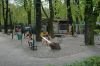 Zoo-Posen-Poznan-2017-170416-DSC_2872.jpg