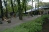 Zoo-Posen-Poznan-2017-170416-DSC_2875.jpg