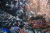 Aquarium-Berlin-2017-171205-DSC_9897.jpg
