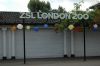 Zoo-London-2018-180728-DSC_7245.jpg