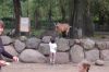 Tierpark-Neumuenster-130824-DSC_0274.JPG